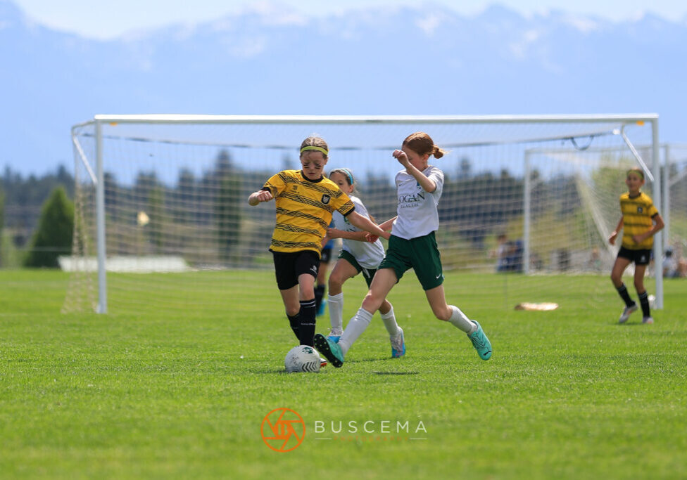 053125 Sting 14G Black vs Flathead Valley 3BR-099